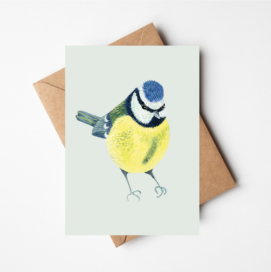 Blue tit Cards