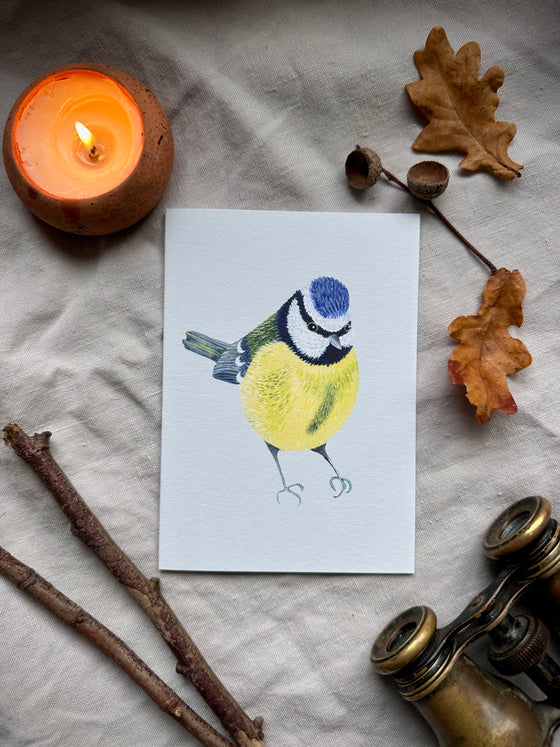 Blue tit Cards