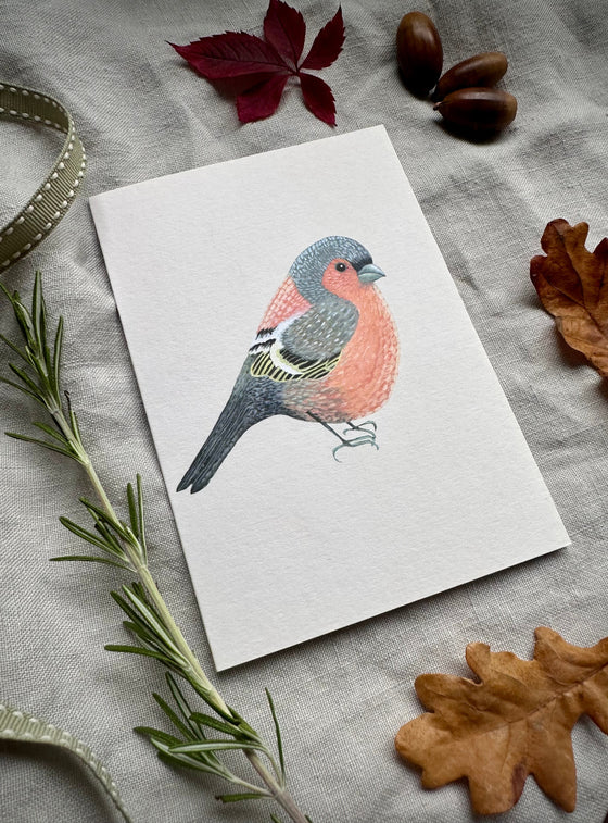 Chaffinch Cards
