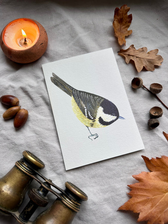 Coal tit Cards
