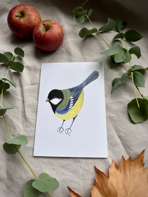 Great tit Cards