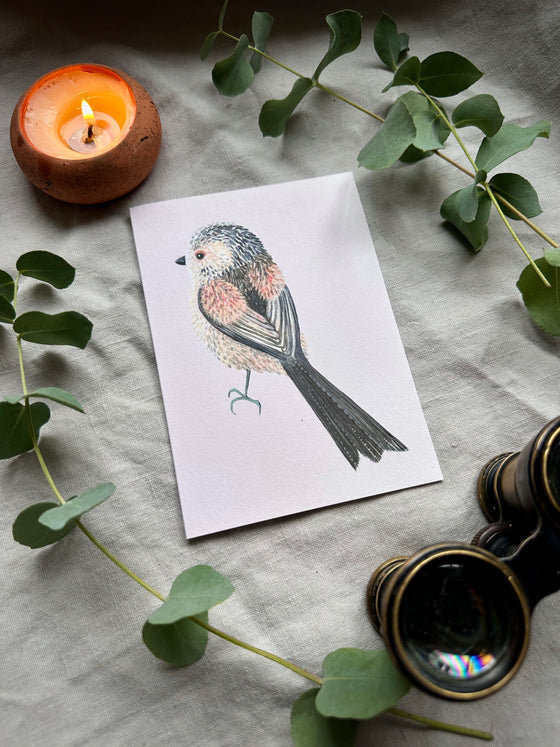 Long-tailed tit Cards