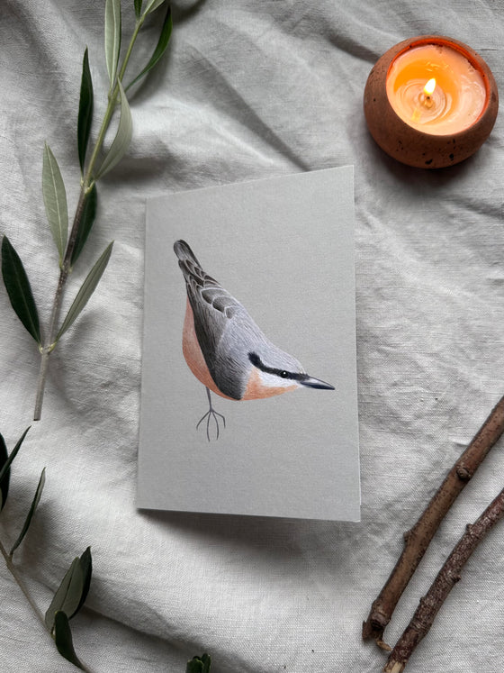 Nuthatch Cards