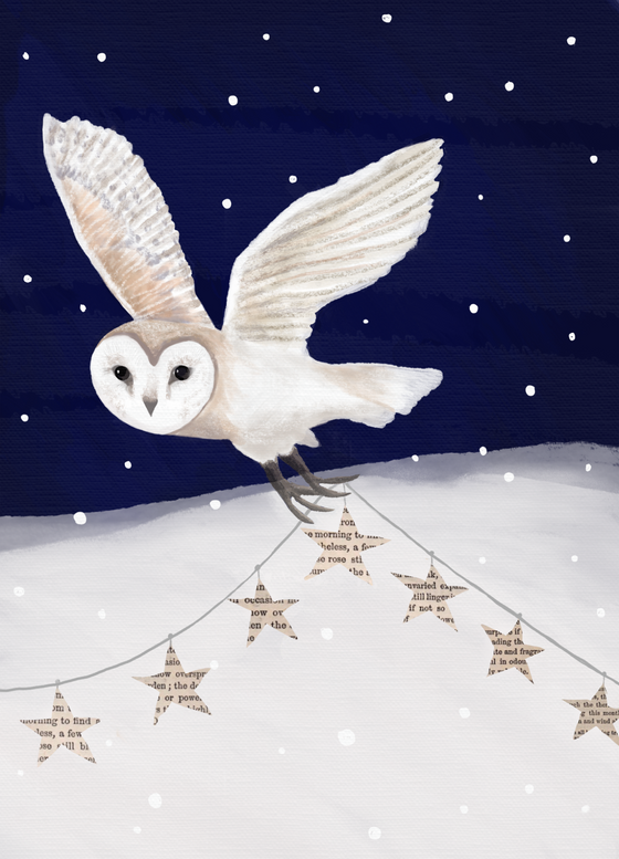 Owl's Christmas Stars Cards