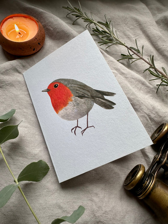 Robin Cards