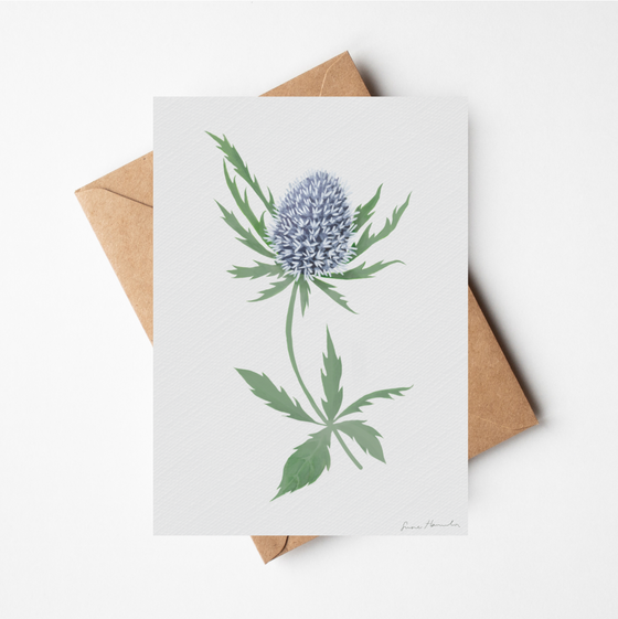 Sea Holly Cards