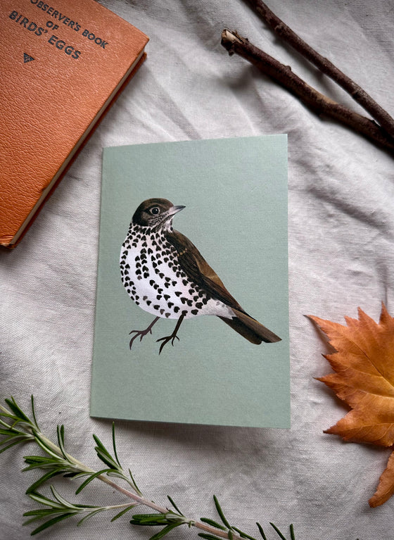 Song Thrush Cards