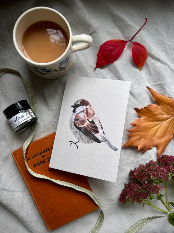 Sparrow Cards