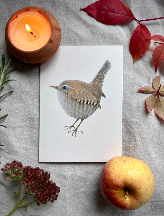 Wren Cards