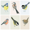 La collection de cartes des oiseaux du jardin