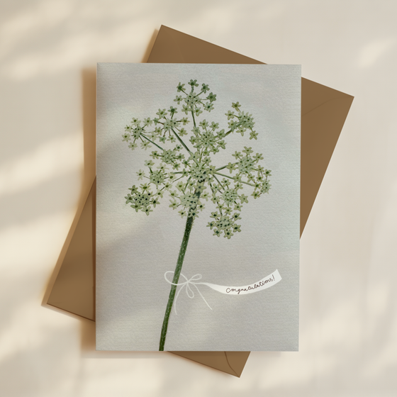 Queen Anne's Lace Cards