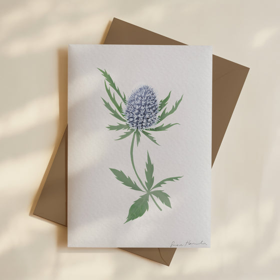 Sea Holly Cards