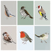 Bird Lovers Card Collection