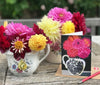 Vintage Jugs Card Collection